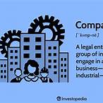 bet the company definition
